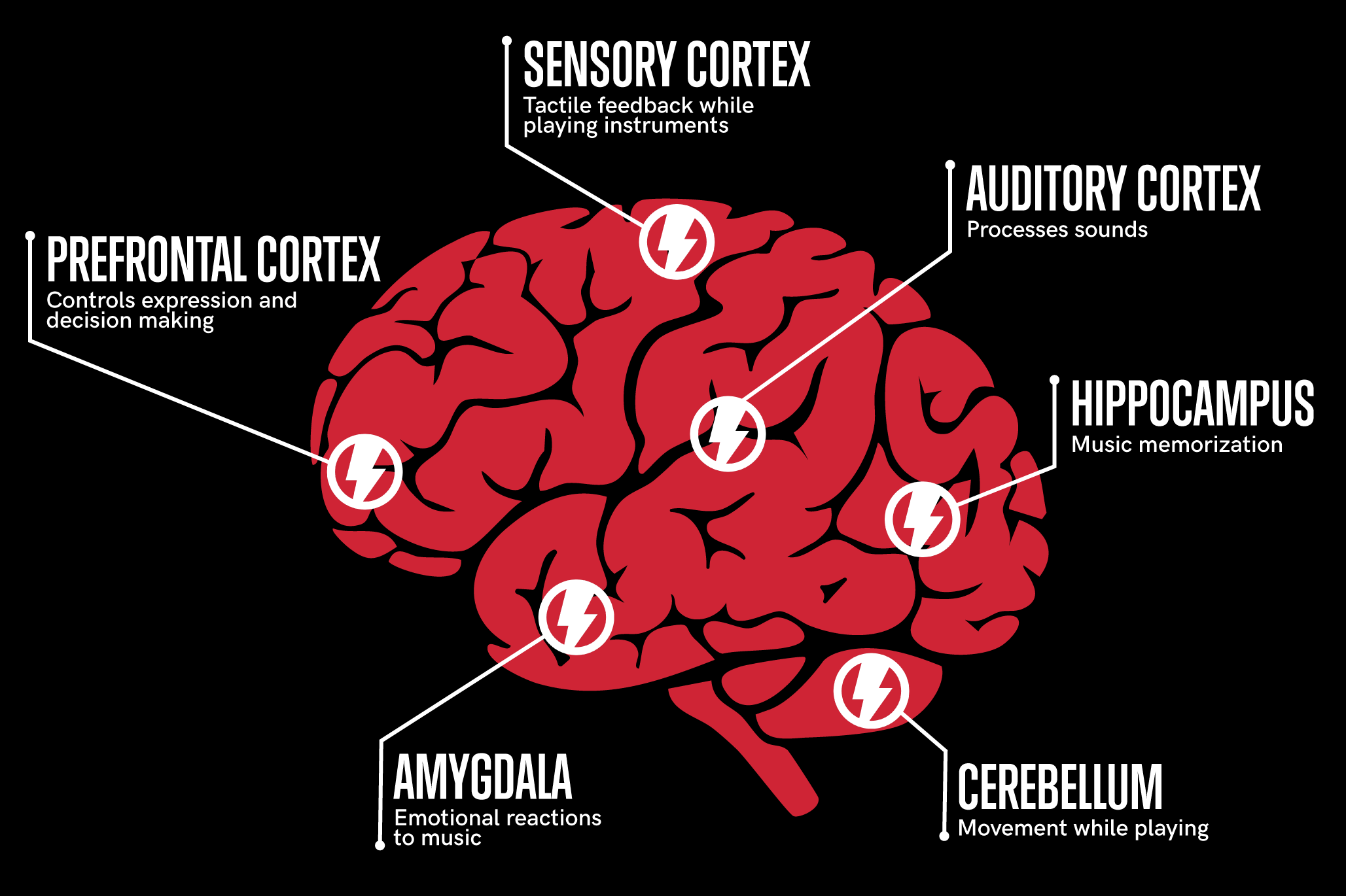 The Connection Between Rock Music and the Brain